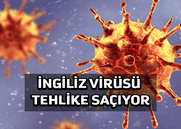 İngiliz virüsü tehlikesi, Güney Afrika virüsü paniği