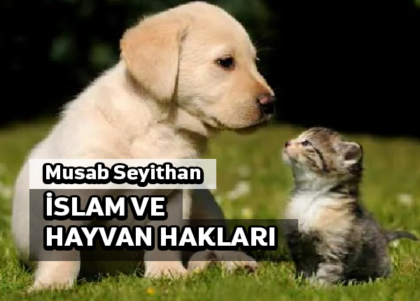 İslam, hayvanların haklarını da korur