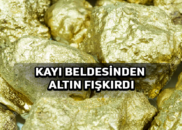 Kayı beldesinden altın fışkırdı