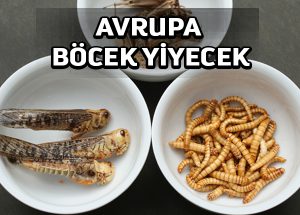 Böcekler Avrupalıların tabaklarına geliyor