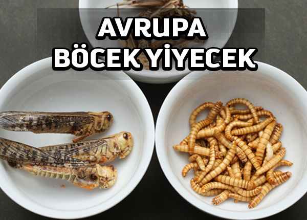 Böcekler Avrupalıların tabaklarına geliyor