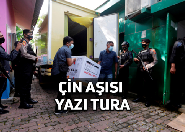 Brezilya denemesi, Sinovac aşısının etkisini yalnızca yüzde 50,4 ihtimal buldu