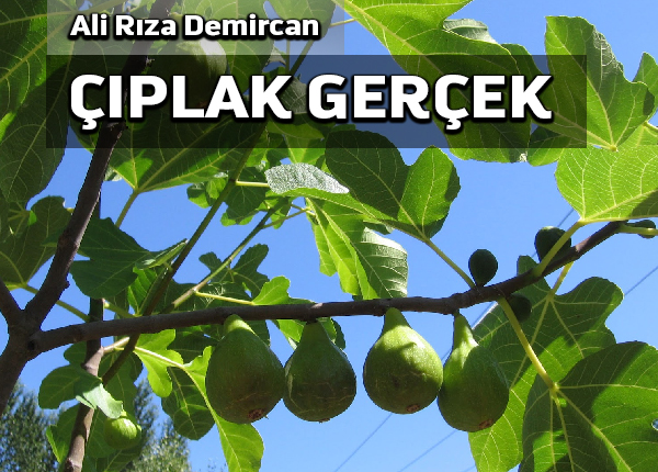 Çıplaklık hayvanlara özgüdür