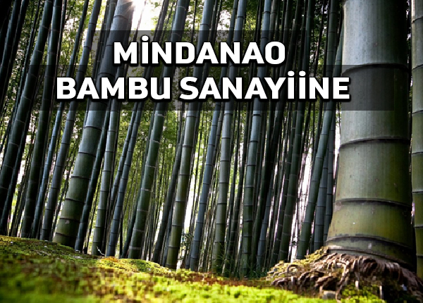 Mindanao bambu sanayi geliştirme fuarı 2021’de