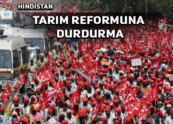 Hindistan Anayasa Mahkemesi yeni tarım yasalarının uygulanmasını uzatıyor
