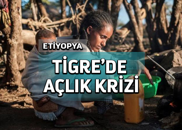Tigray bölgesinde açlık, yardım kuruluşları çaresiz