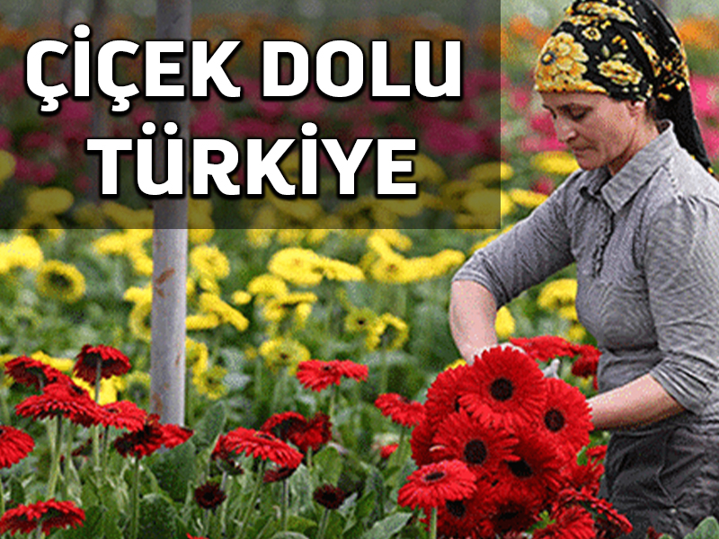 Çiçek sektörü ihracatta yüz güldürüyor