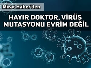 Mirat Haber’den: HAYIR DOKTOR, VİRÜS MUTASYONU EVRİM DEĞİL