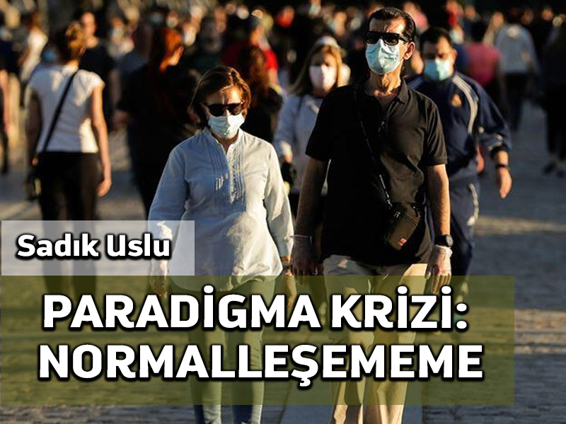 Paradigma Krizi, Normalleşememe
