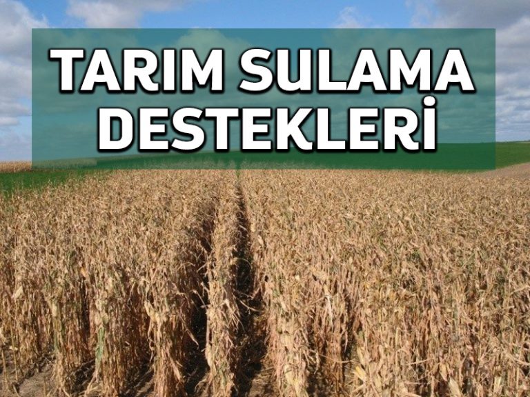 Tarım ve Orman Bakanlığı bireysel sulama sistemi yatırımlarına destek verecek