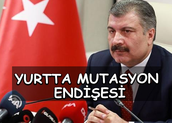 Mutasyonlu virüsler Türkiye’de yayılıyor