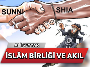 İslam birliği bağlamında hakka ulaşmanın yolu: Akl-selim