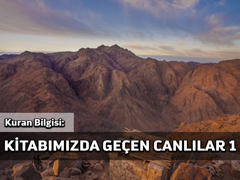 Kuran Bilgisi: Kitabımızda Geçen Canlılar 1