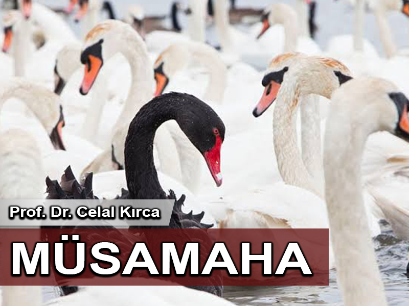 Müsamaha: Mâzide kalan bir değer