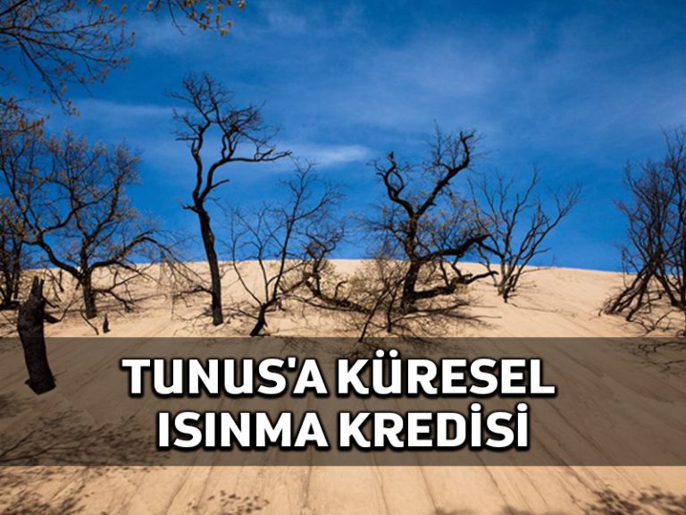 Dünya Bankası Tunus’a 50 milyon dolar afet kredisi veriyor