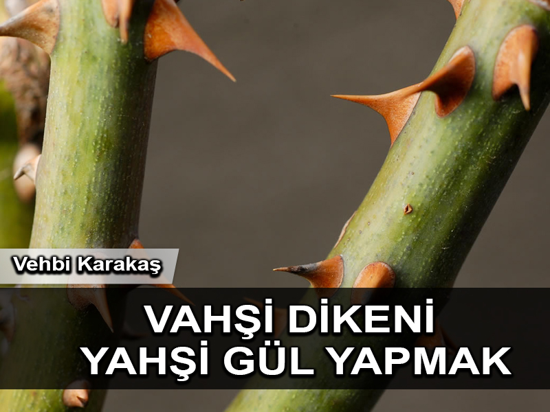 “Ot gibi bittik ot gibi iteceğiz”
