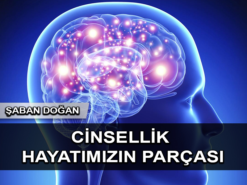 Cinsellik hayatımızın bir parçası…