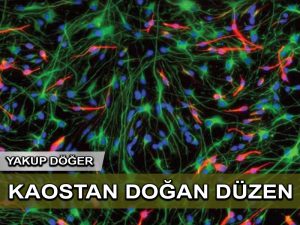 Kaostan doğan düzen