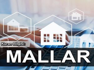 Kuran Bilgisi: Mallar