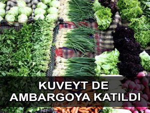 Kuveyt’ten uyuşturucu bahanesiyle Lübnan‘a yaptırım