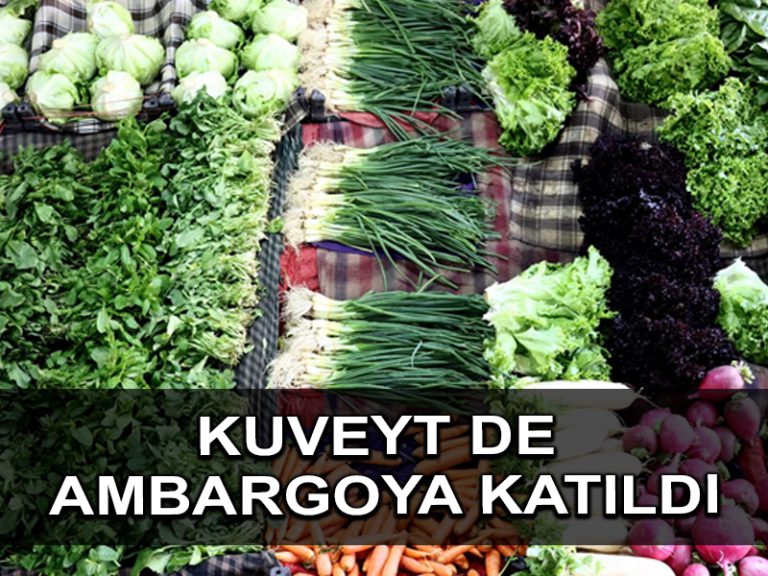 Kuveyt’ten uyuşturucu bahanesiyle Lübnan‘a yaptırım