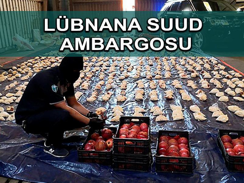 Lübnan Suudi Arabistan’dan ürünlerine ambargoyu kaldırmasını istiyor