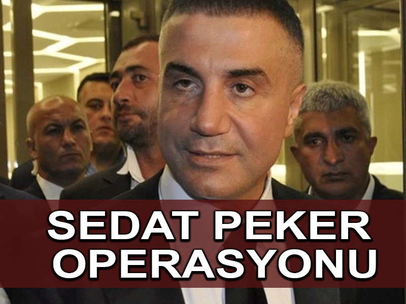 İddia edilen Sedat Peker organize suç örgütüne çok sayıda gözaltı