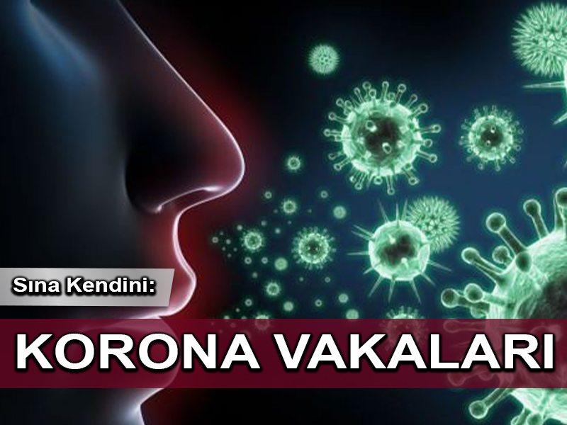 Sına Kendini: Korona Vakaları (9 Nisan 2021 itibariyle)