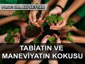 Tabiatın ve maneviyatın kokusu