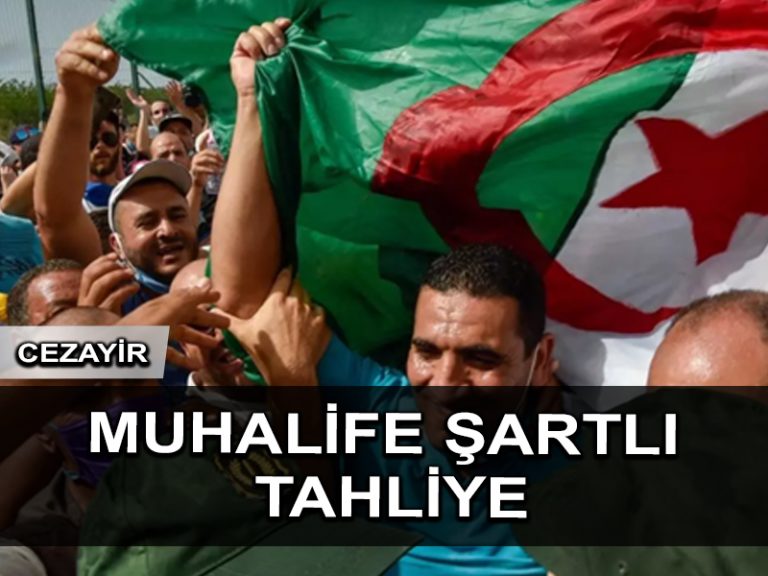 Cezayir Muhalefet üyesi Karim Tabbou şartlı tahliye edildi
