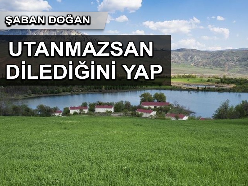 Utanmazsan dilediğini yap