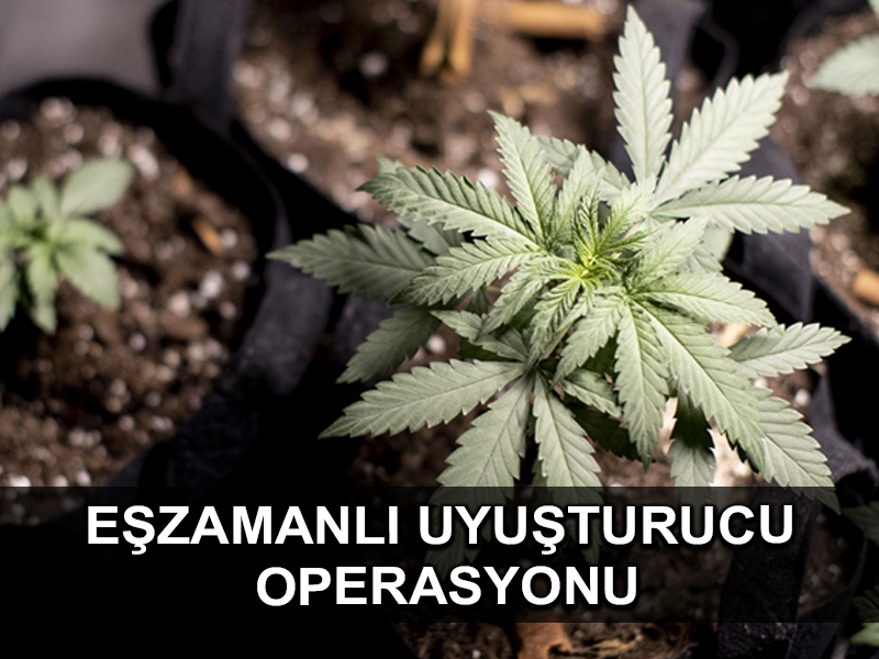 İstanbul ve Ankara merkezli 81 ilde uyuşturucu satıcılarına yönelik eş zamanlı operasyon