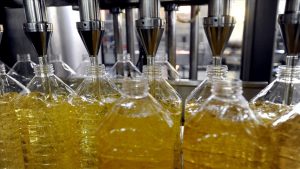 Bitkisel yağda rekor ihraç