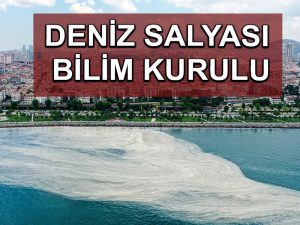 Marmara Denizi’ndeki müsilaj sorununa acil çözüm için bilim insanları YÖK’te toplanacak