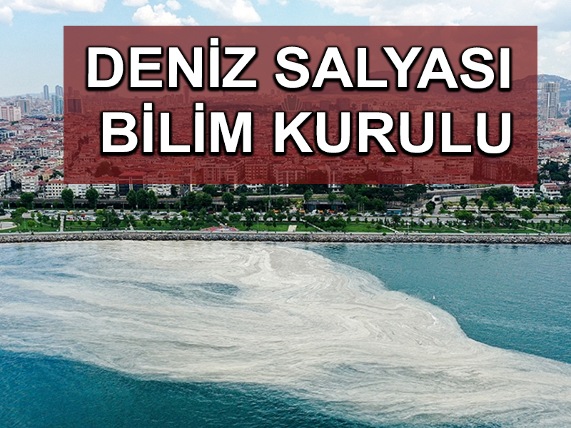 Marmara Denizi’ndeki müsilaj sorununa acil çözüm için bilim insanları YÖK’te toplanacak
