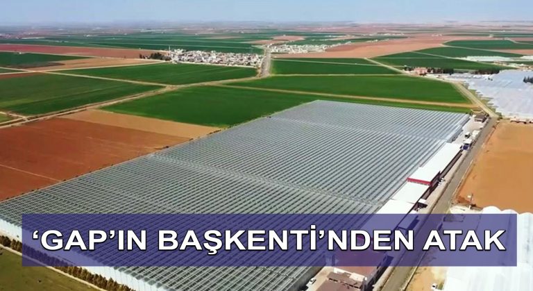 ‘GAP’ın başkenti’nden atak