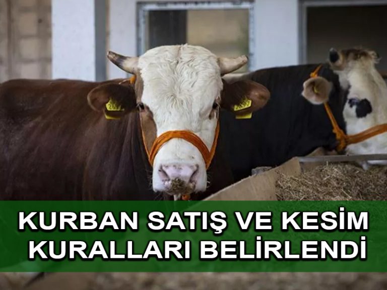 Kurban satış ve kesimine ilişkin kurallar belirlendi