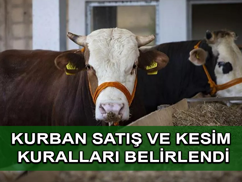 Kurban satış ve kesimine ilişkin kurallar belirlendi