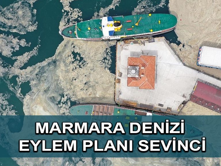 Bakan Murat Kurum’un müsilaja ilişkin açıkladığı eylem planı bilim insanlarını sevindirdi