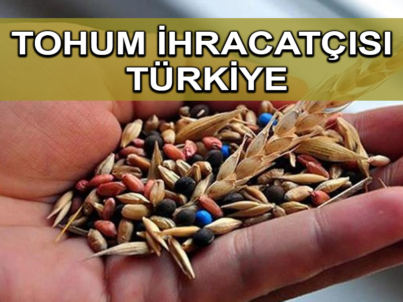 Türkiye artık tohum üreten ve ihraç eden ülke konumuna geldi