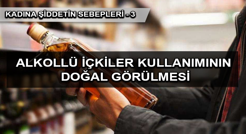 Alkollü İçkiler Kullanımının Doğal Görülmesi | KADINA ŞİDDETİN SEBEPLERİ