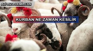 KURBAN NE ZAMAN KESİLİR VE KESİLİRKEN NASIL DUA EDİLİR?