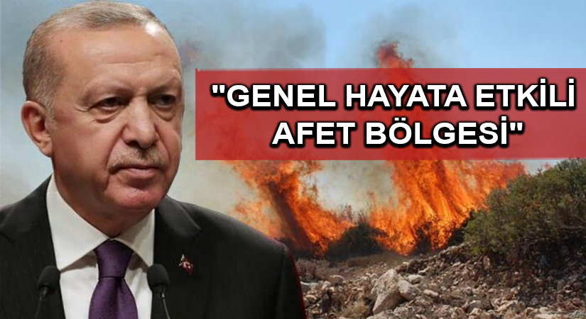 Yangından etkilenen alanlar “Genel Hayata Etkili Afet Bölgesi” ilan edildi