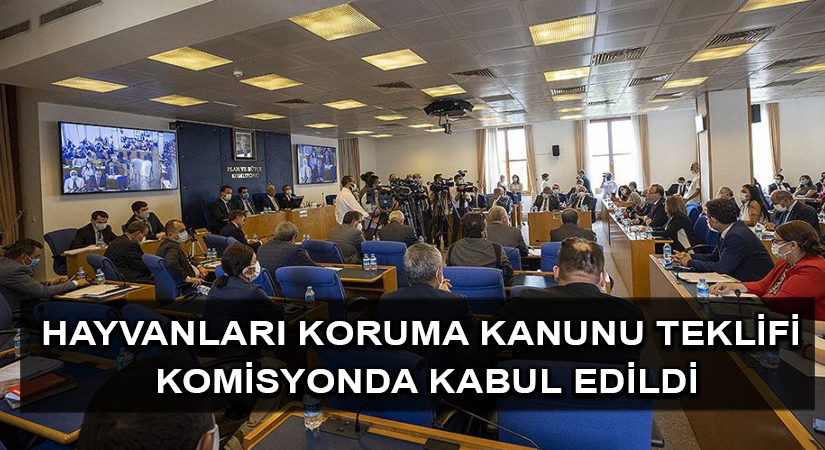 Hayvanları Koruma Kanunu Teklifi komisyonda kabul edildi