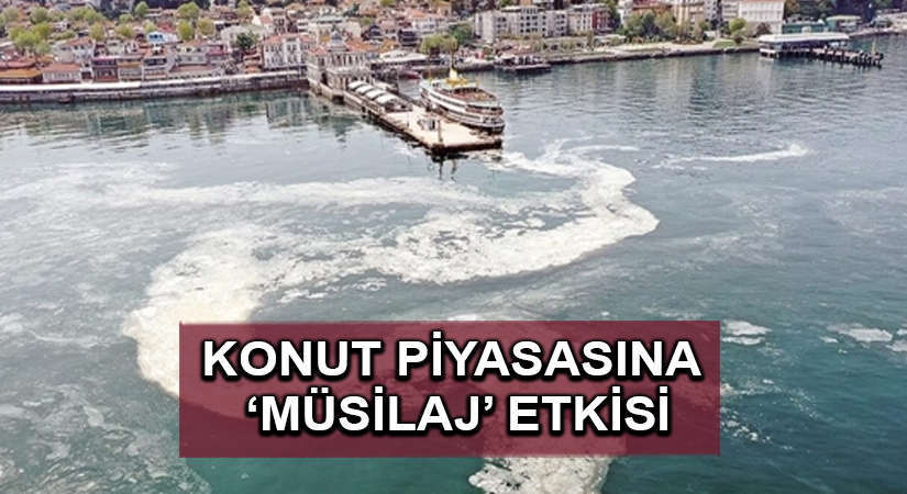 Konut piyasasına ‘Müsilaj’ etkisi