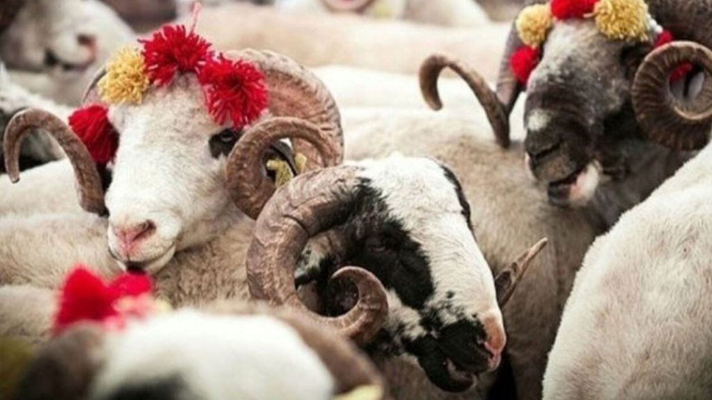 ALLAH İÇİN KURBAN EDEBİLECEĞİMİZ İSMAİLLERİMİZ OLMALIDIR