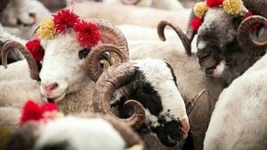 ALLAH İÇİN KURBAN EDEBİLECEĞİMİZ İSMAİLLERİMİZ OLMALIDIR