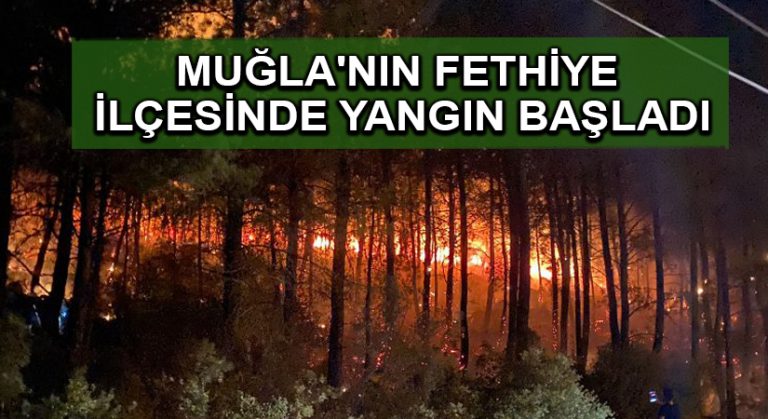Muğla’nın Fethiye ilçesinde yangın başladı