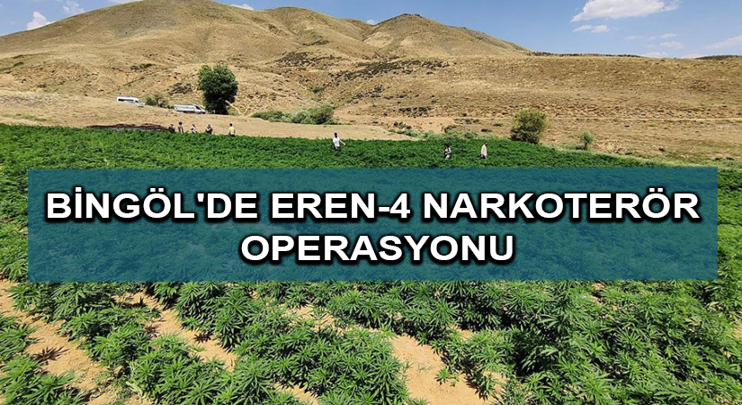 Bingöl’de Eren-4 Narkoterör Operasyonu