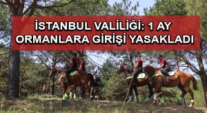İstanbul Valiliği: 1 ay ormanlara girişi yasakladı